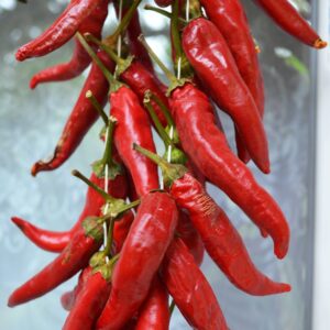 Focaccia artigianale all'olio extravergine di oliva e peperoncino- PEPPER ONE ( Senza Lattosio)