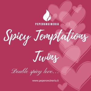 Twins Spicy Temptations - Praline